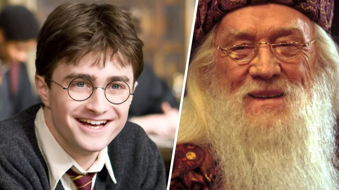 Harry Potter fans praise 'perfect' Dumbledore casting in HBO series
