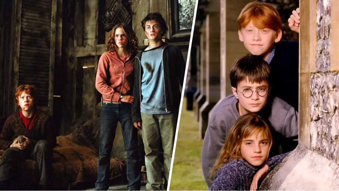 Harry Potter fans torn over HBO series casting original actors in new roles