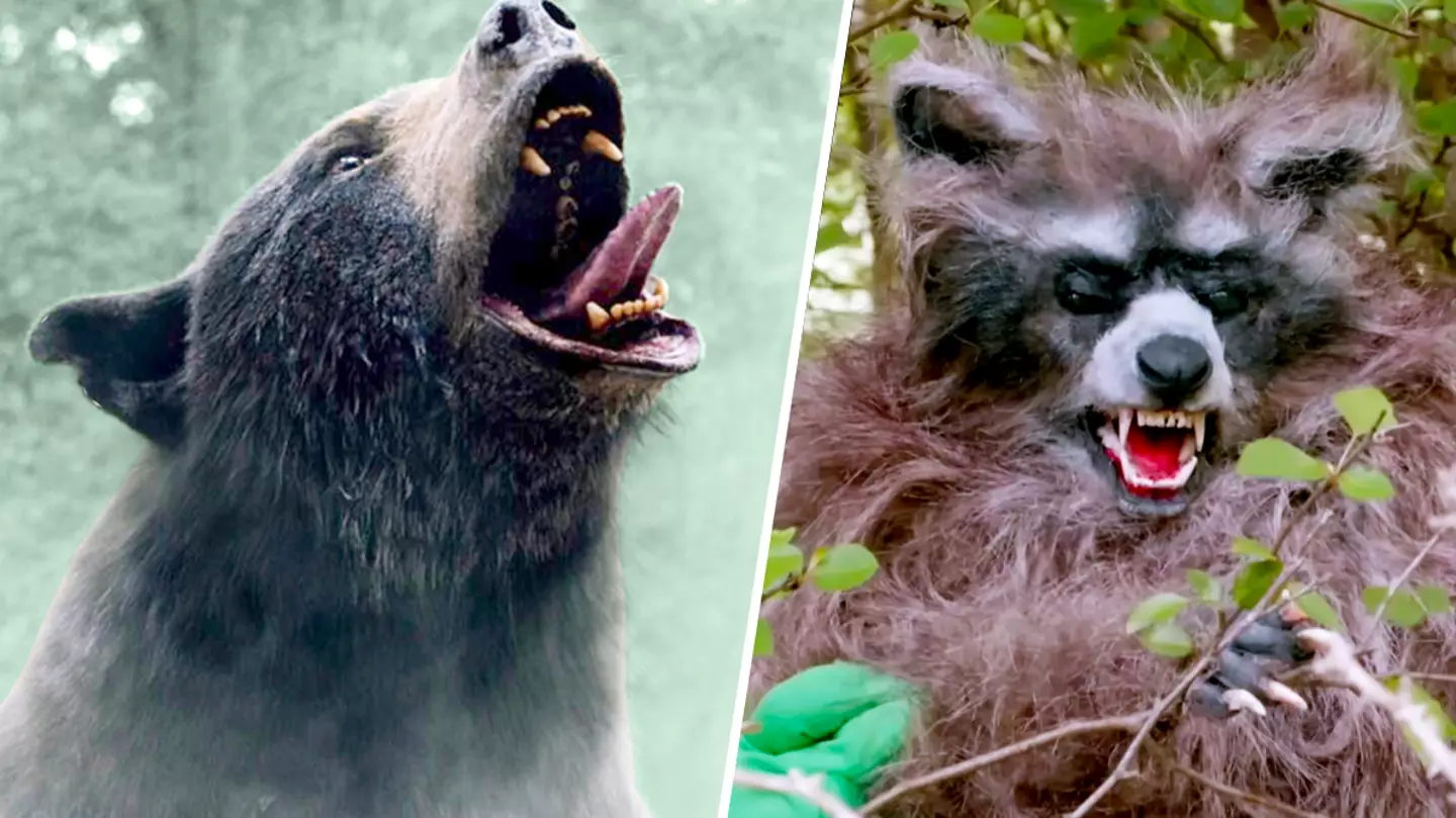 Forget Cocaine Bear, Crackoon is the new greatest movie title of all time