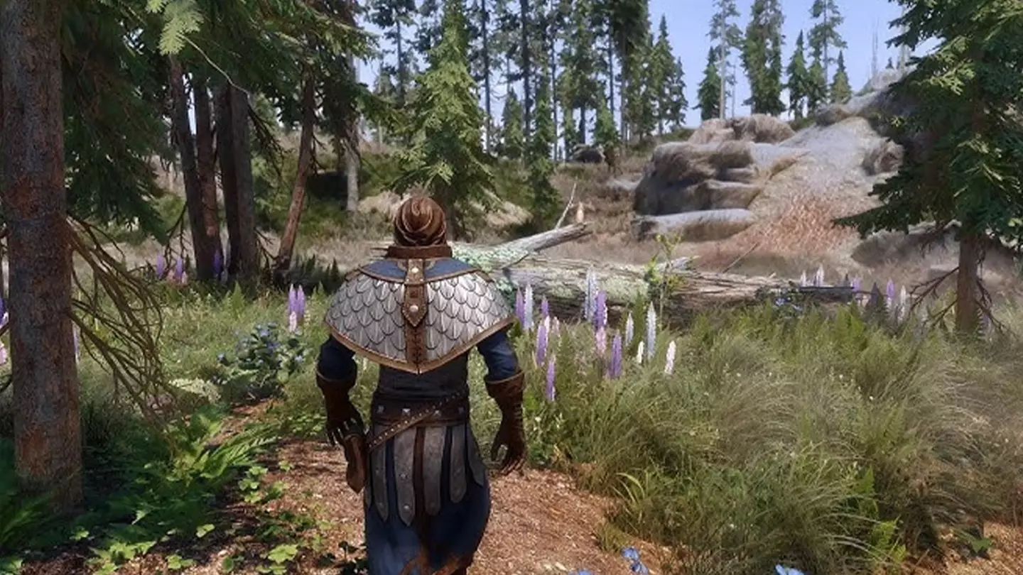 The Elder Scrolls 6 gameplay leak leaves fans divided