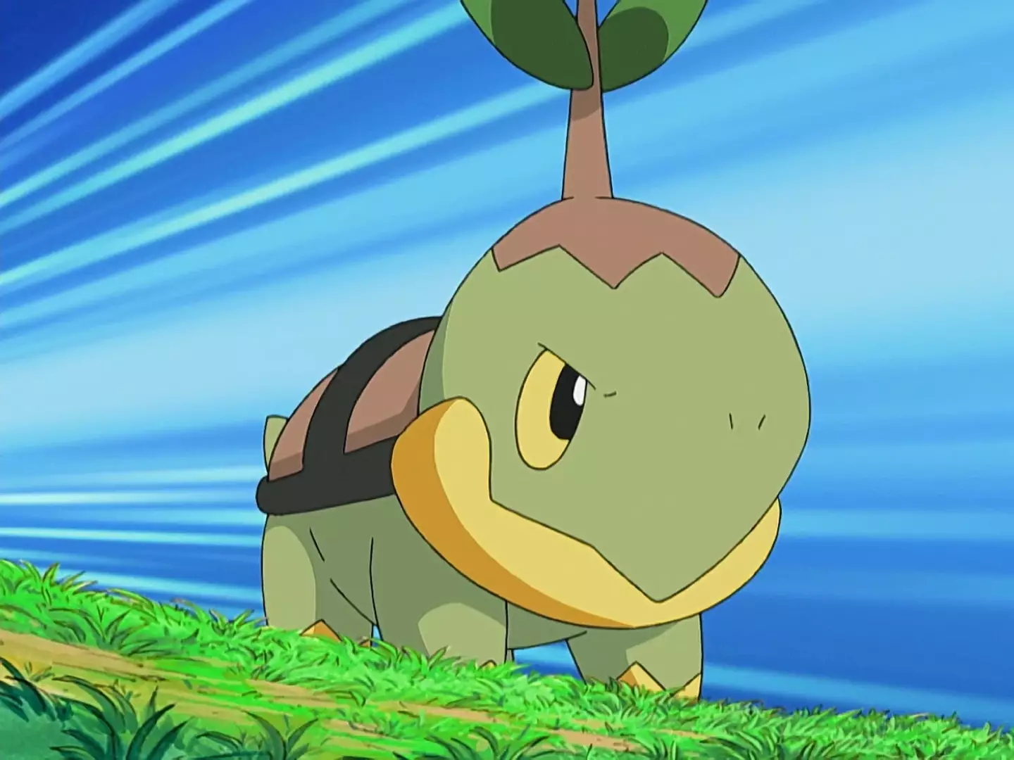 The Pokémon Company International