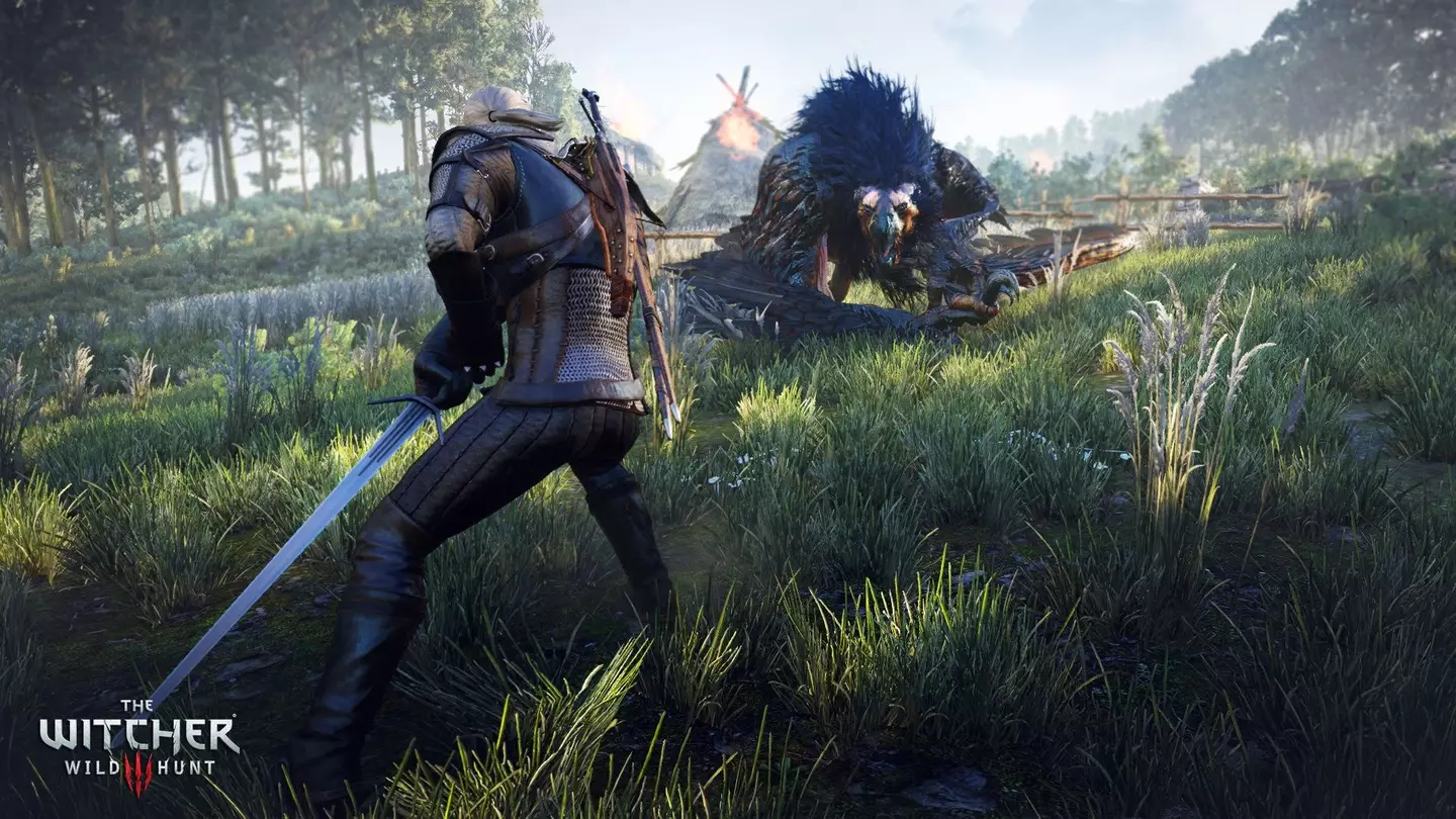 The Witcher 3: Wild Hunt /
