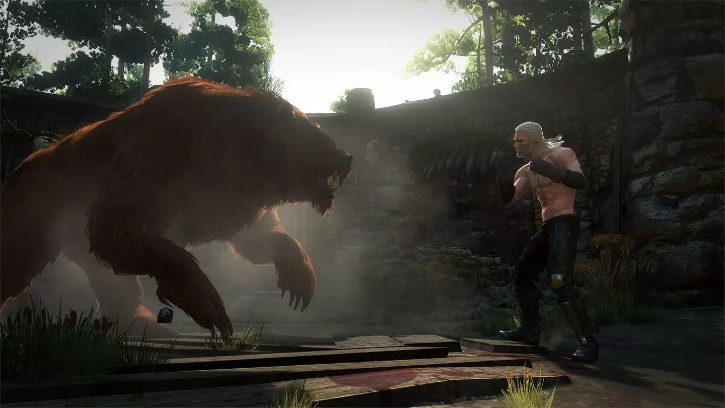 Witcher 3