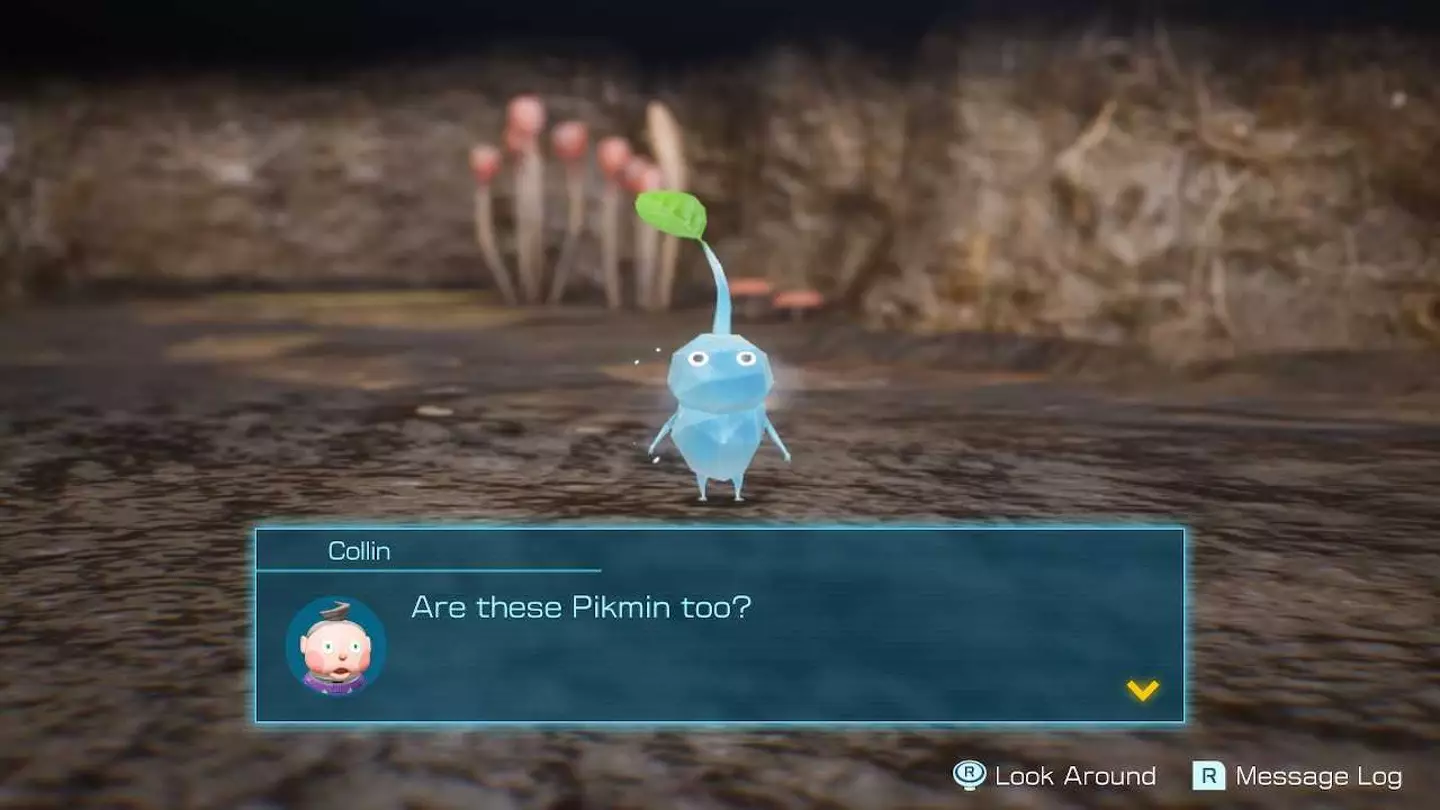 Pikmin 4/