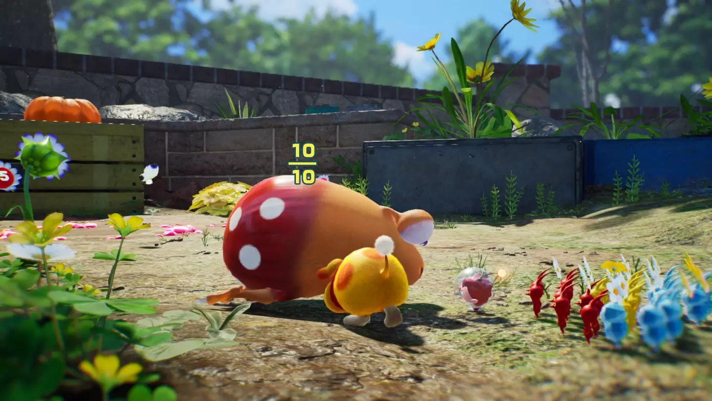 Pikmin 4: Credit Nintendo