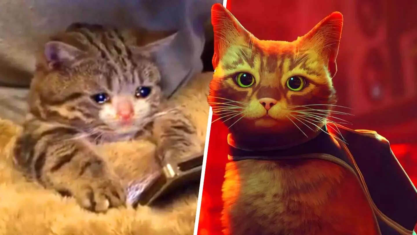 'Stray' Modders Are Adding Their Own Cats To The Game