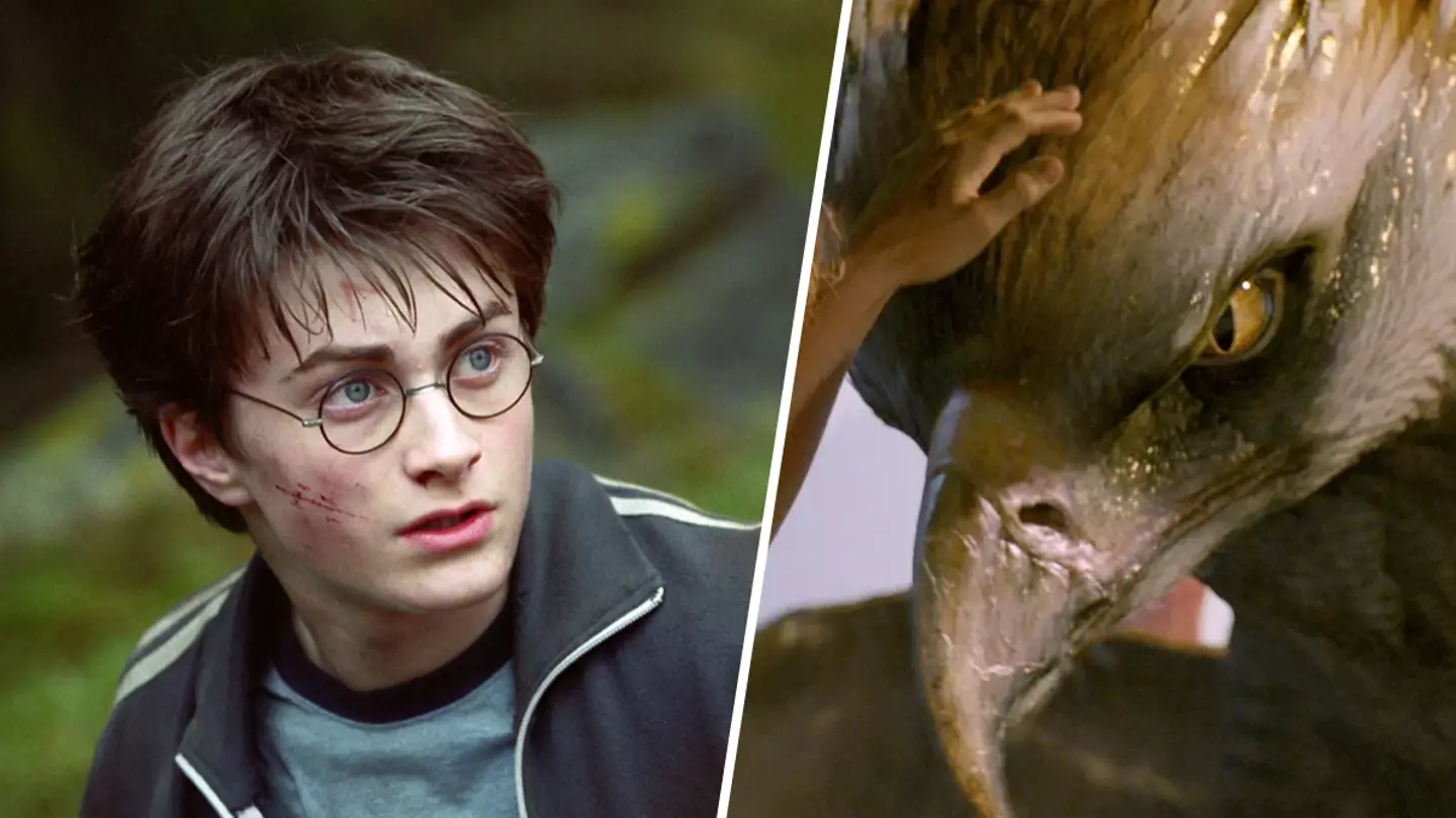 Harry Potter fans unbothered over official cancellation