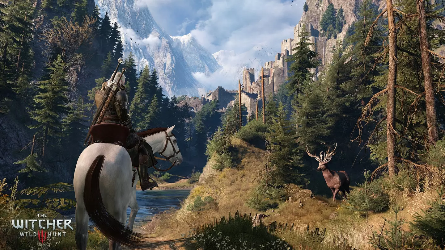 The Witcher 3: Wild Hunt /