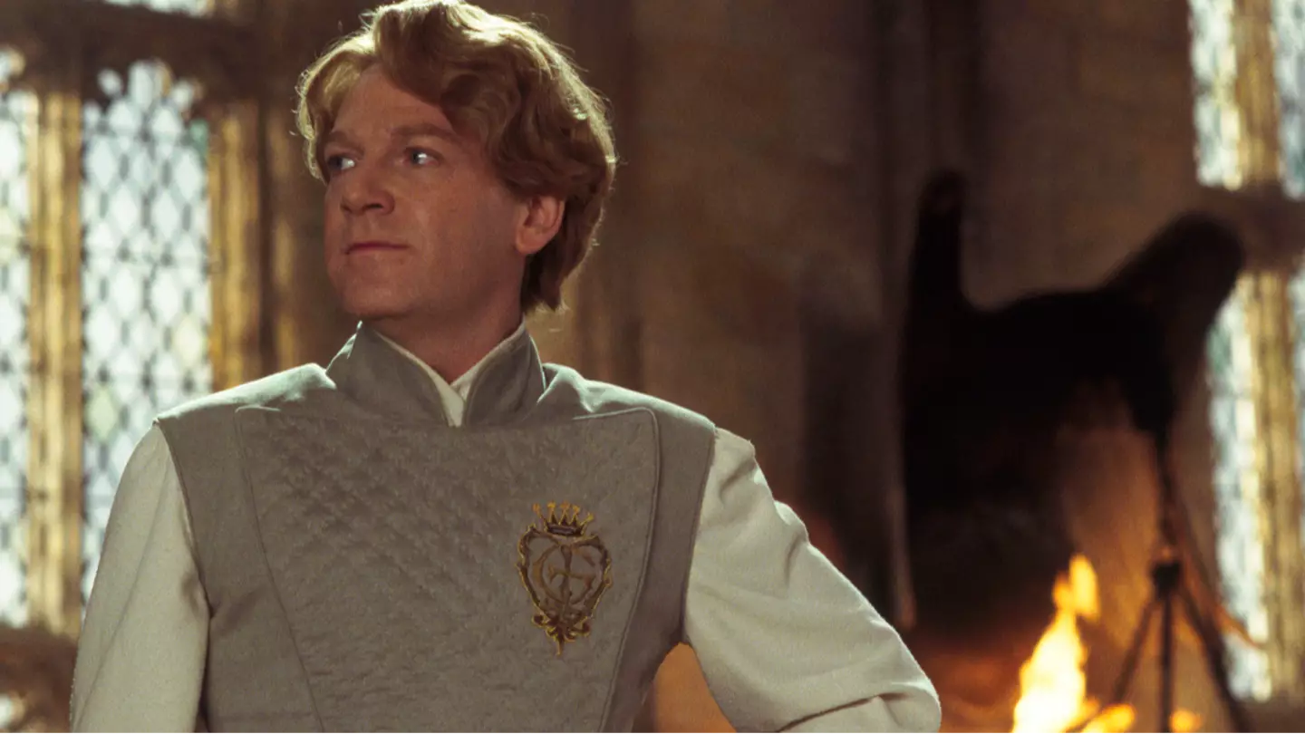 Harry Potter fans unite over Gilderoy Lockhart HBO casting: 'I don't mind this'