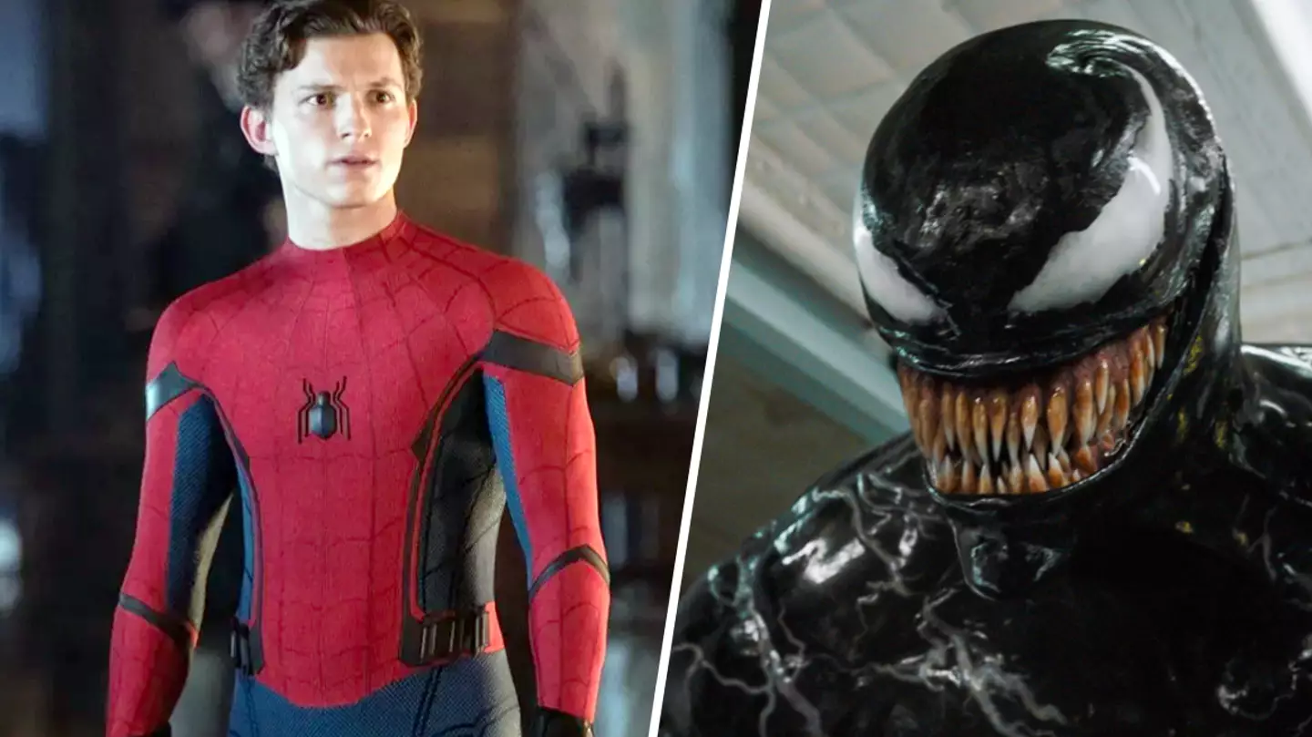Marvel fans divided over surprise new Spider-Man casting