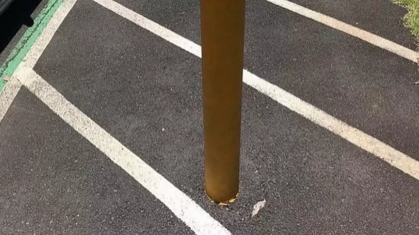 (Reddit)