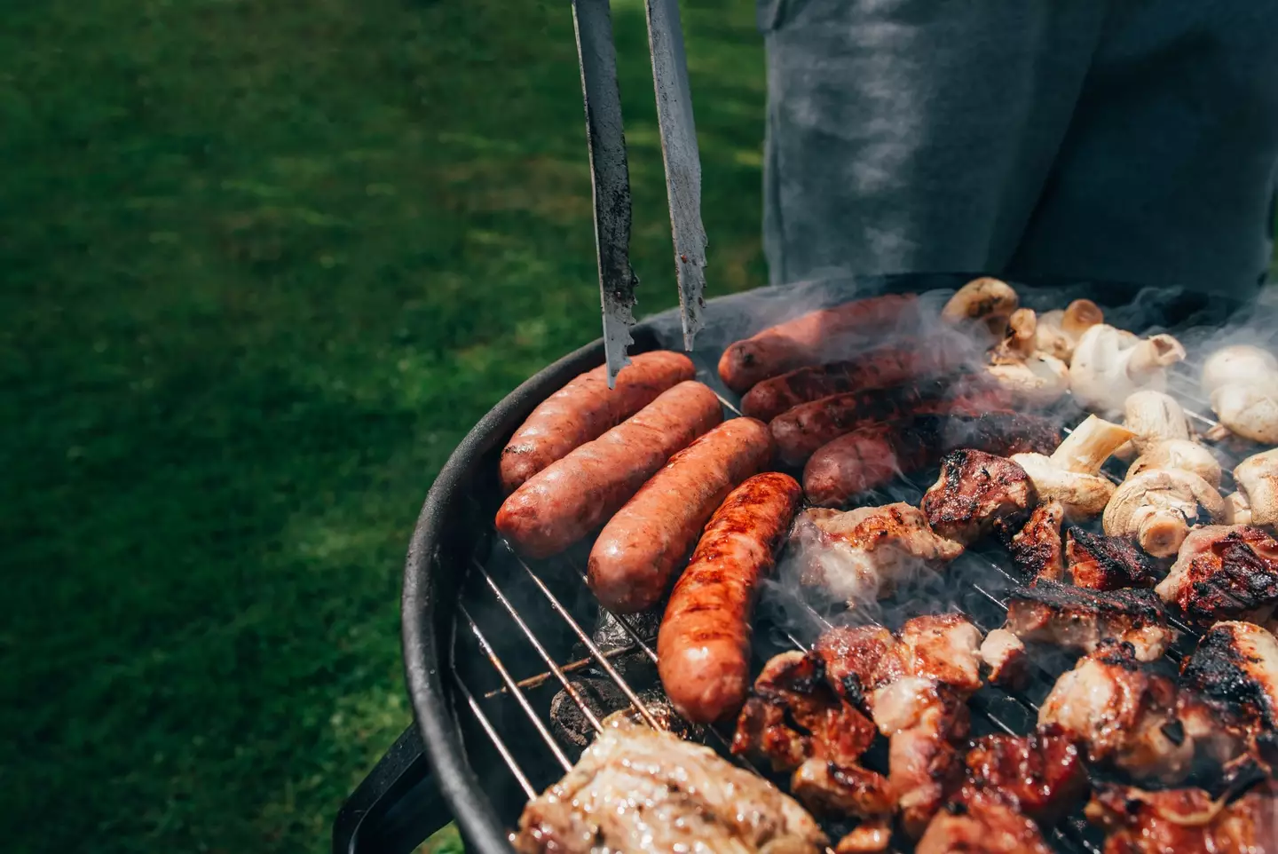 The research looked at animal and plant protein intake (Getty Stock Images)