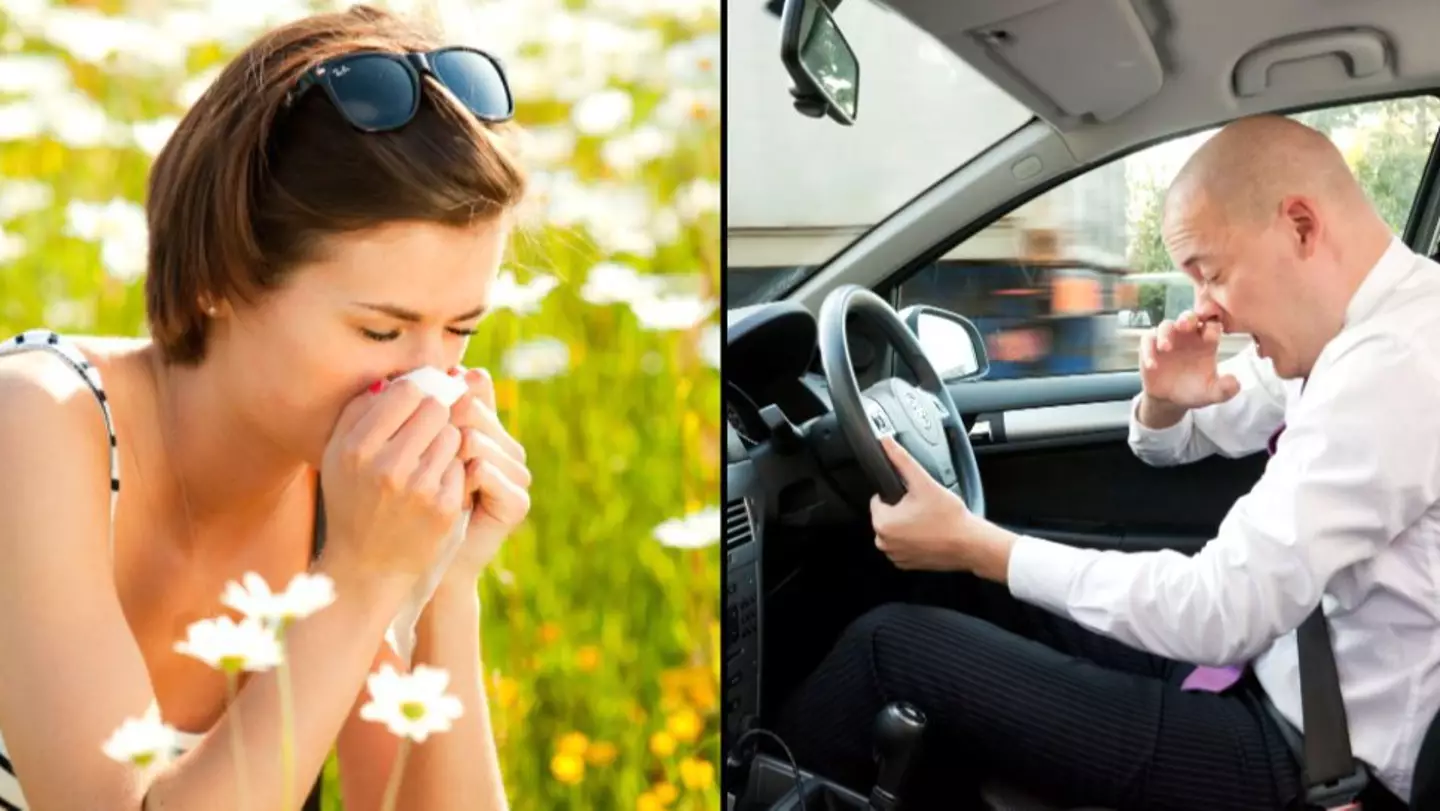 Drivers With Hayfever Warned About Potential £1,000 Fines