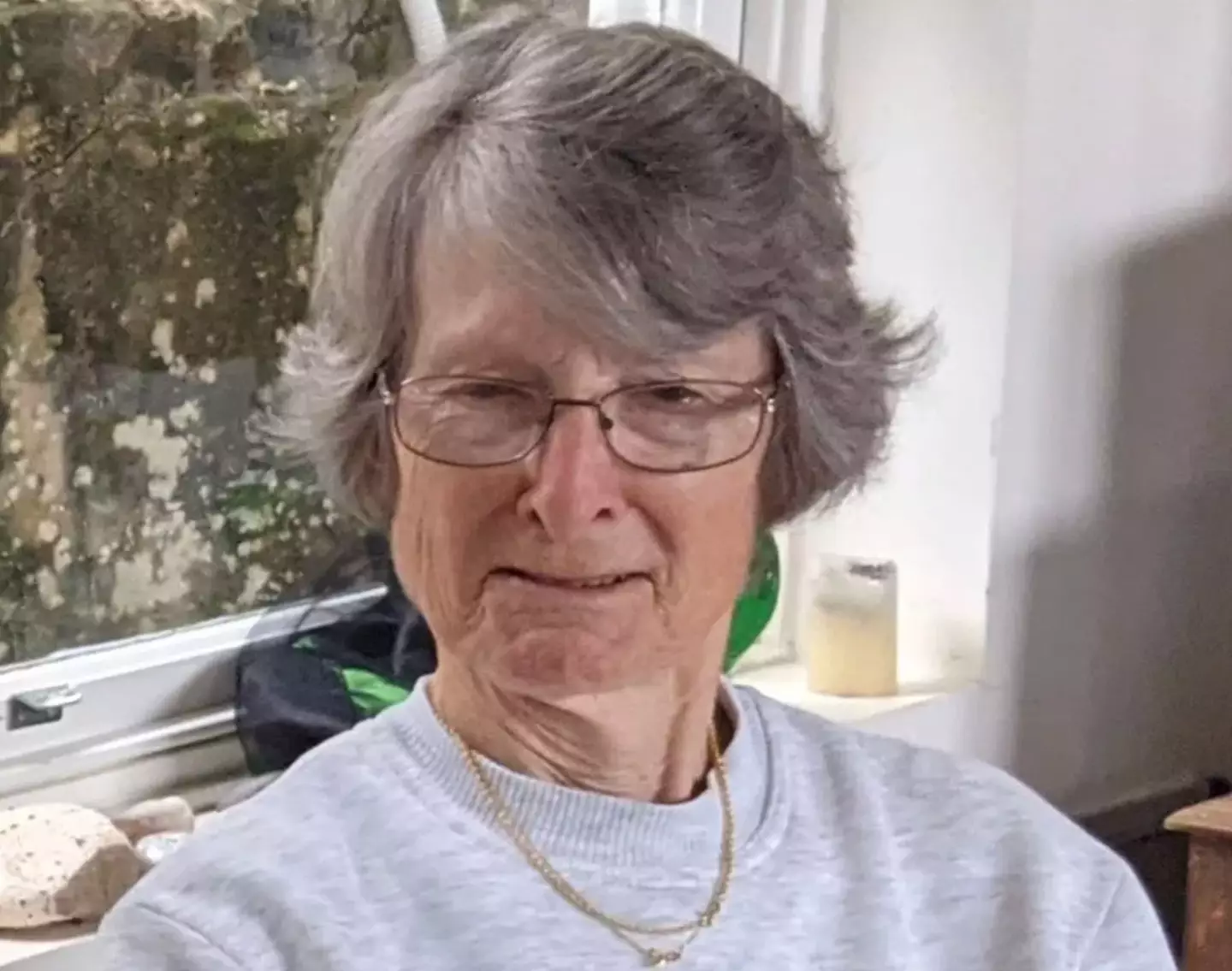 The body of Suzanne Rees, 80, from New South Wales, was discovered on Lizard Island on the Great Barrier Reef on Sunday (Facebook)