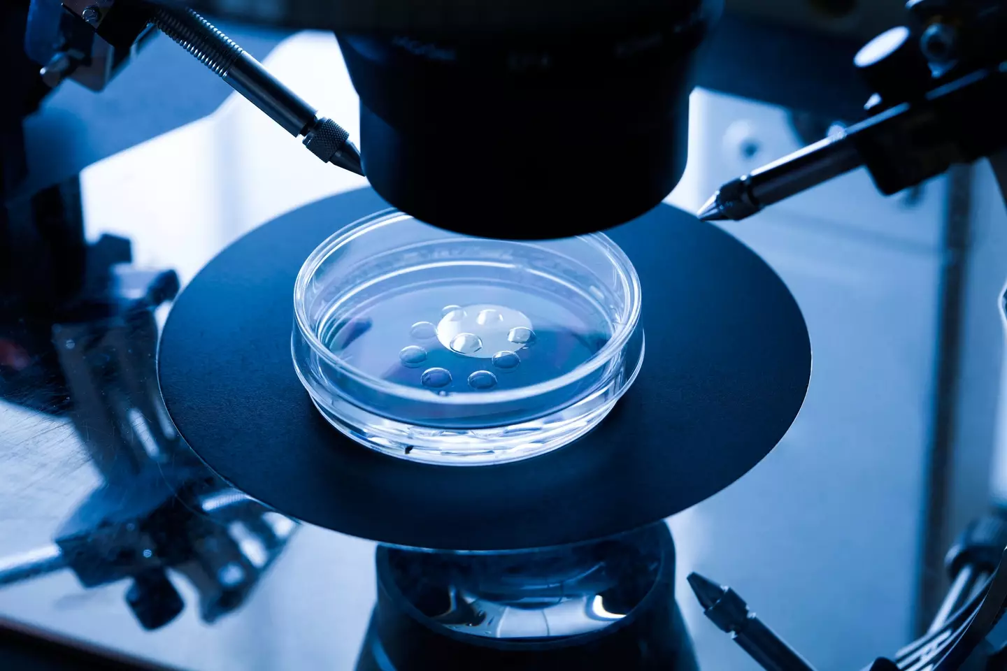 IVF is a popular technique used to help those with fertility issues conceive.