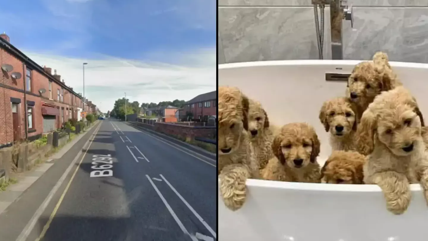 Man charged with murder after man found dead at home in 'dognapping'