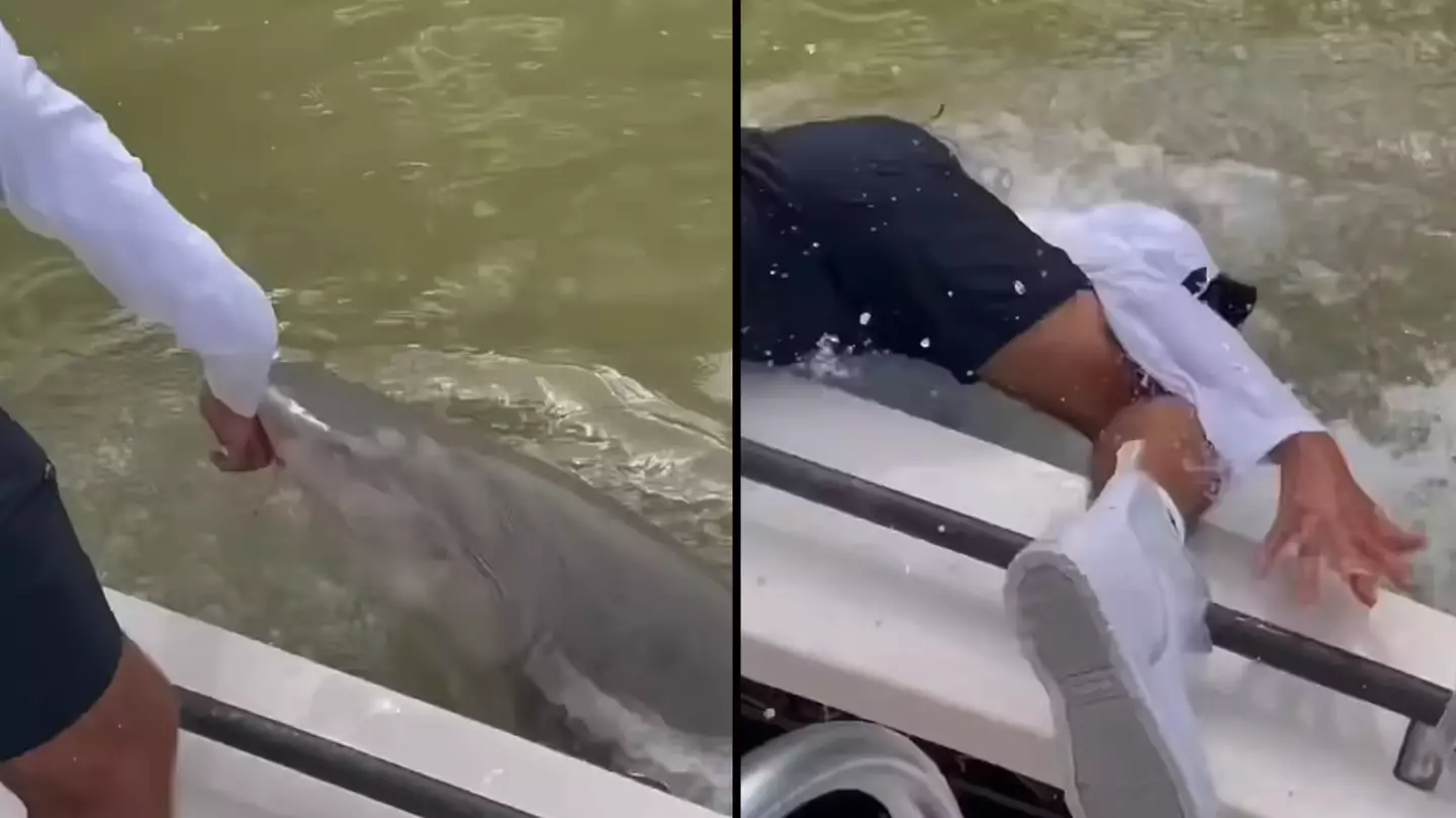 Terrifying moment sharks bite fisherman out of nowhere and drags him into water