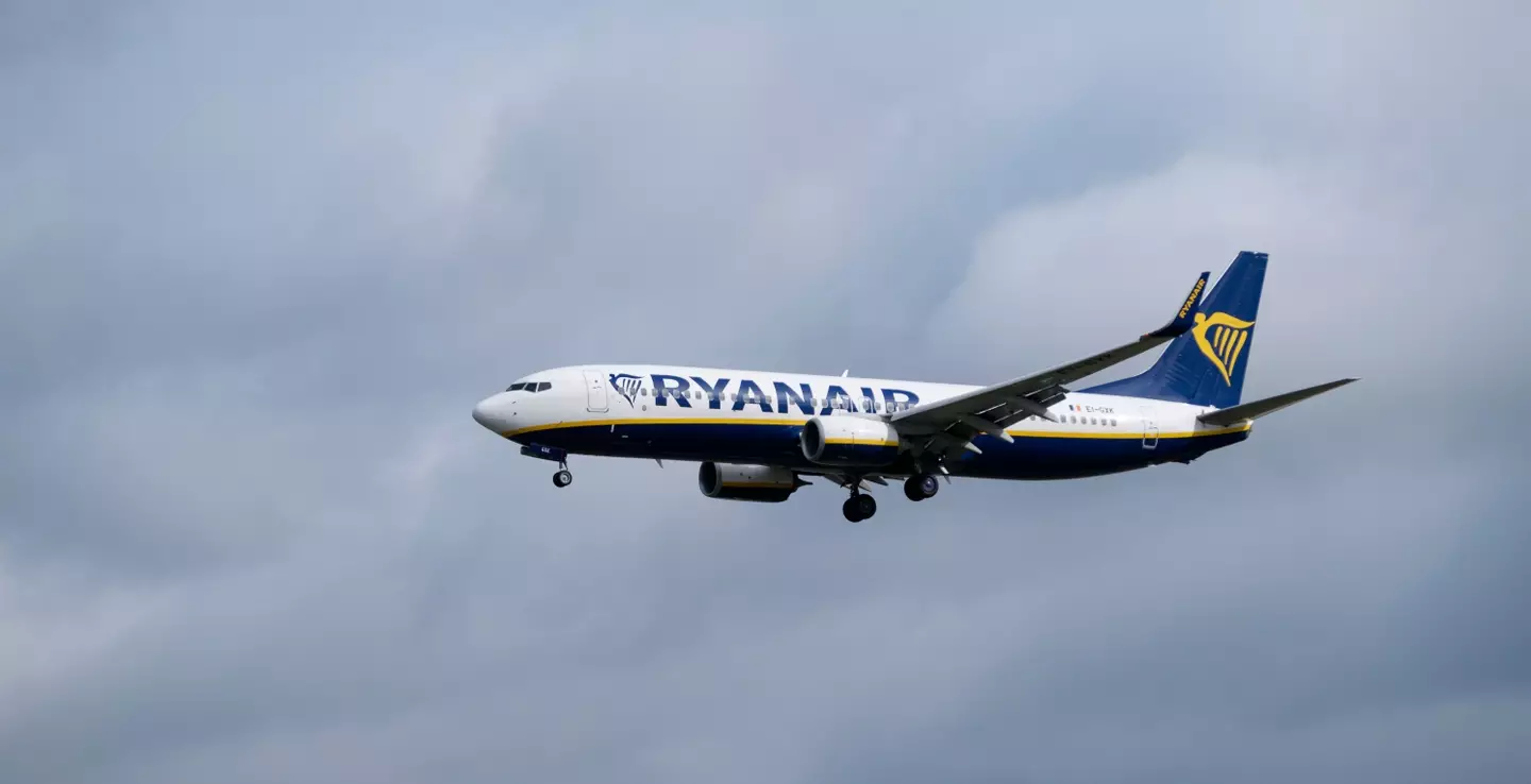 Ryanair's hilarious response did not disappoint.