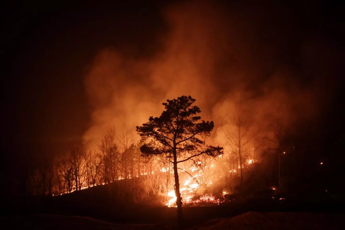 South Korea's 'worst ever' wildfires started over the weekend (YASUYOSHI CHIBA/AFP via Getty Images)