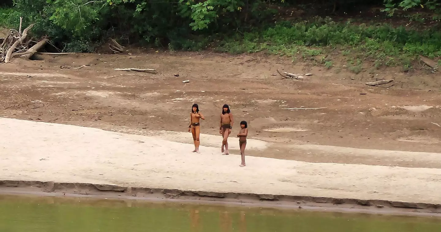 The Mashco Piro are thought to be the largest uncontacted tribe in the world (Survival International)