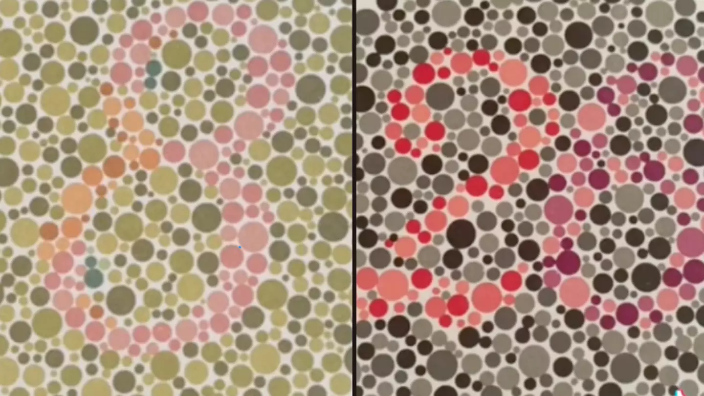 Test to see if you’re colour blind has people realising they’re actually ‘colour deficient’