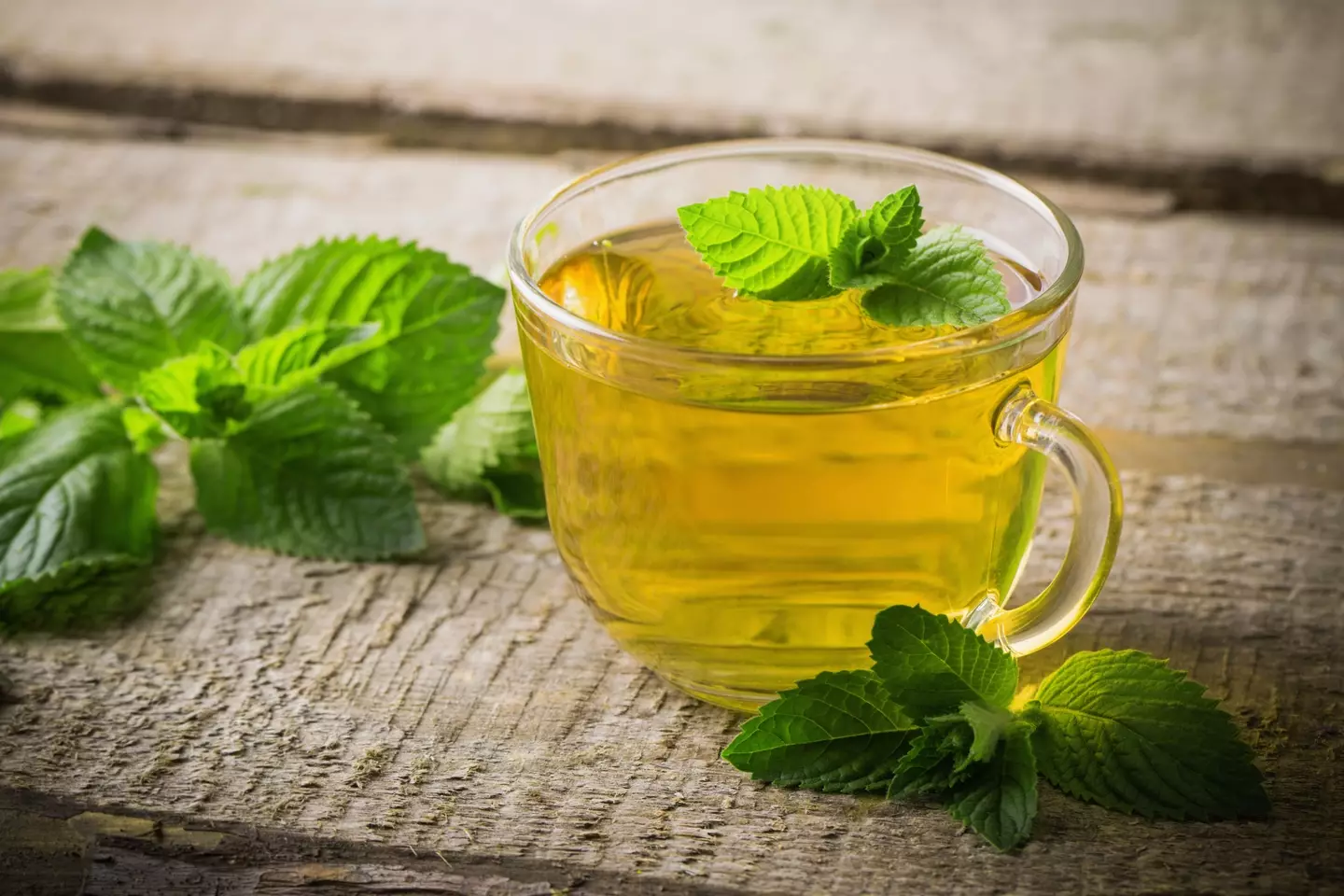 The flight attendant recommends a nice peppermint tea.
