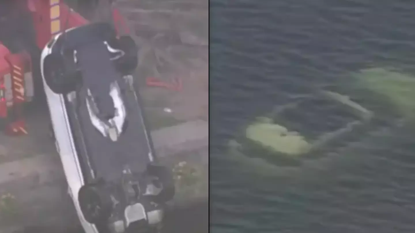 Couple 'getting steamy' in car accidentally roll into river after making vital error