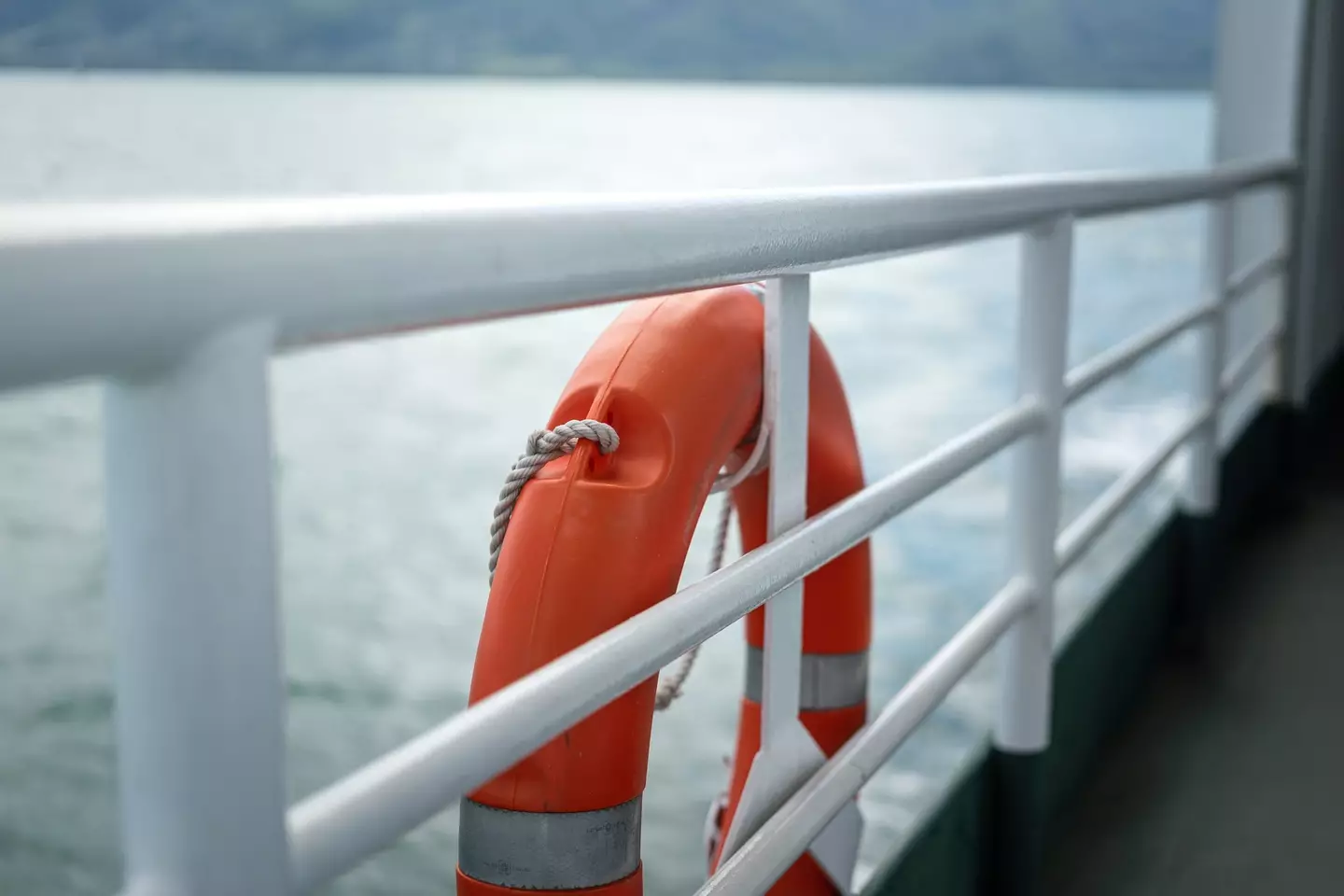 Cruise ships have high railings and lifebuoys as part of industry standard safety regulations (Getty Stock Images)