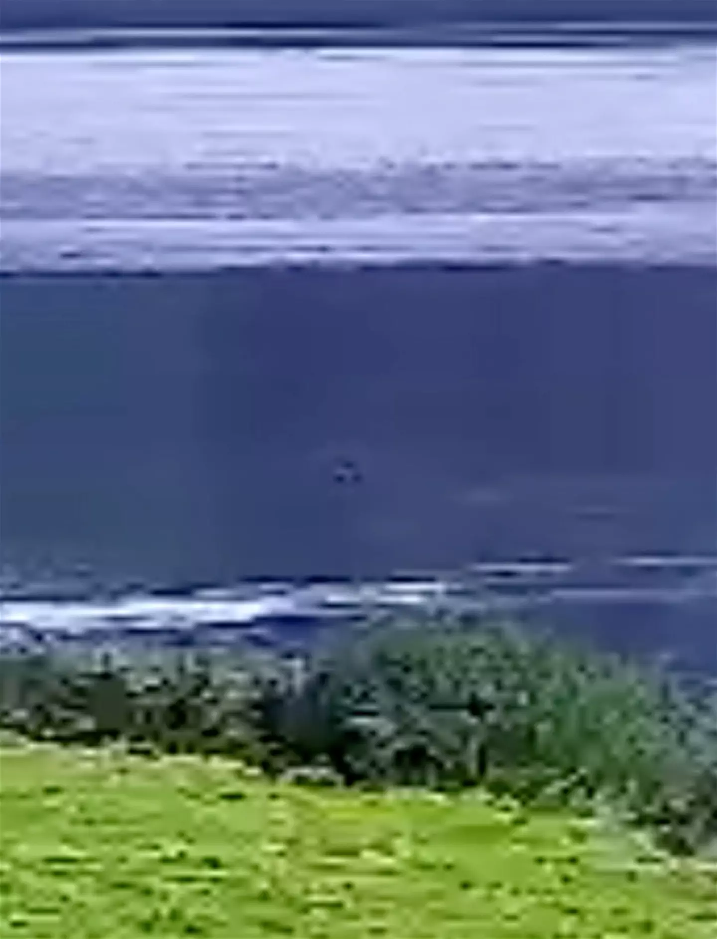A spotted creature was seen in the lake.