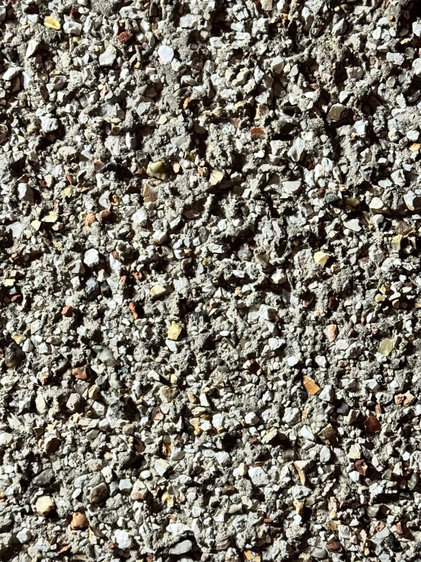 People are struggling to find the moth hidden in this image (Reddit)