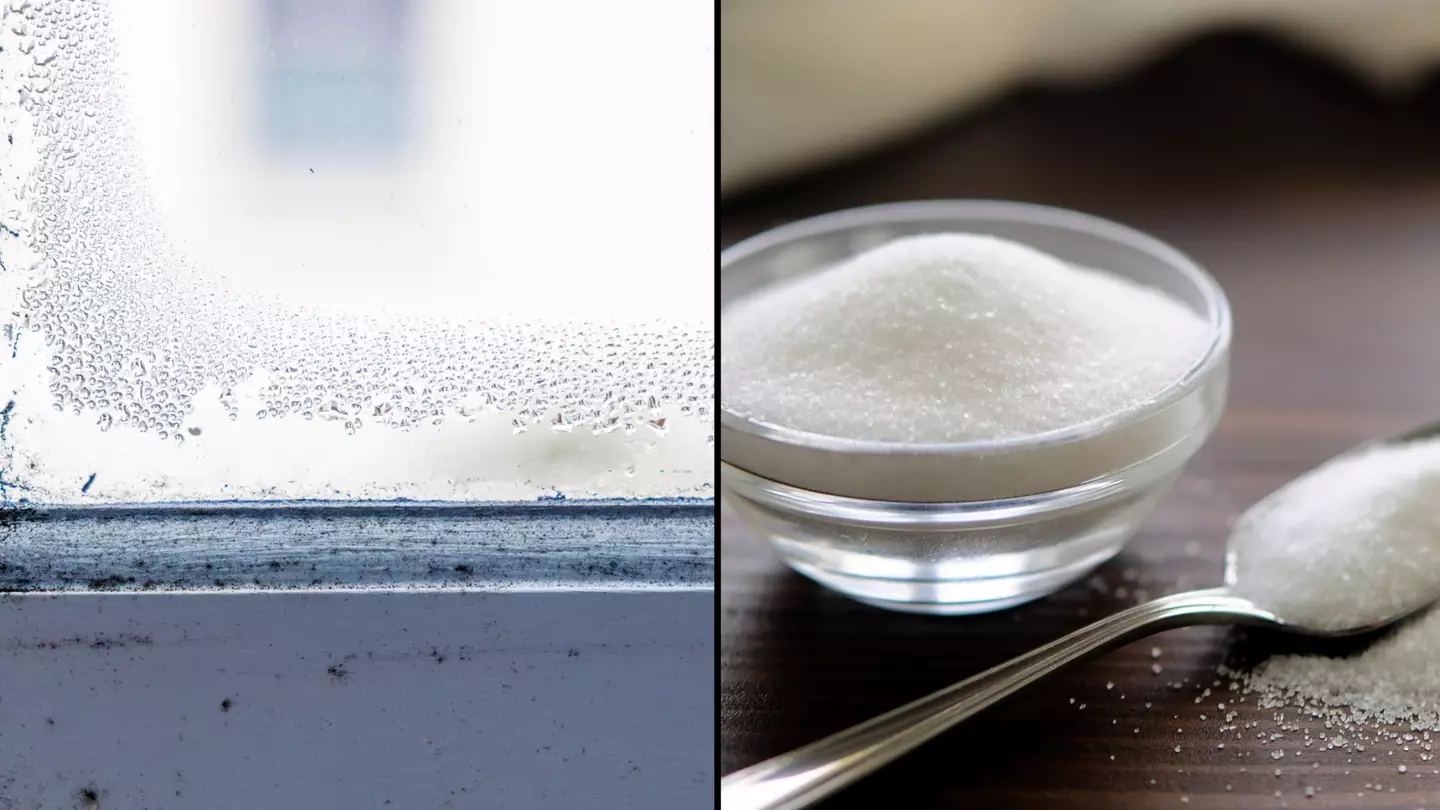 Reason Brits are being urged to put a bowl of salt in their window over the next month