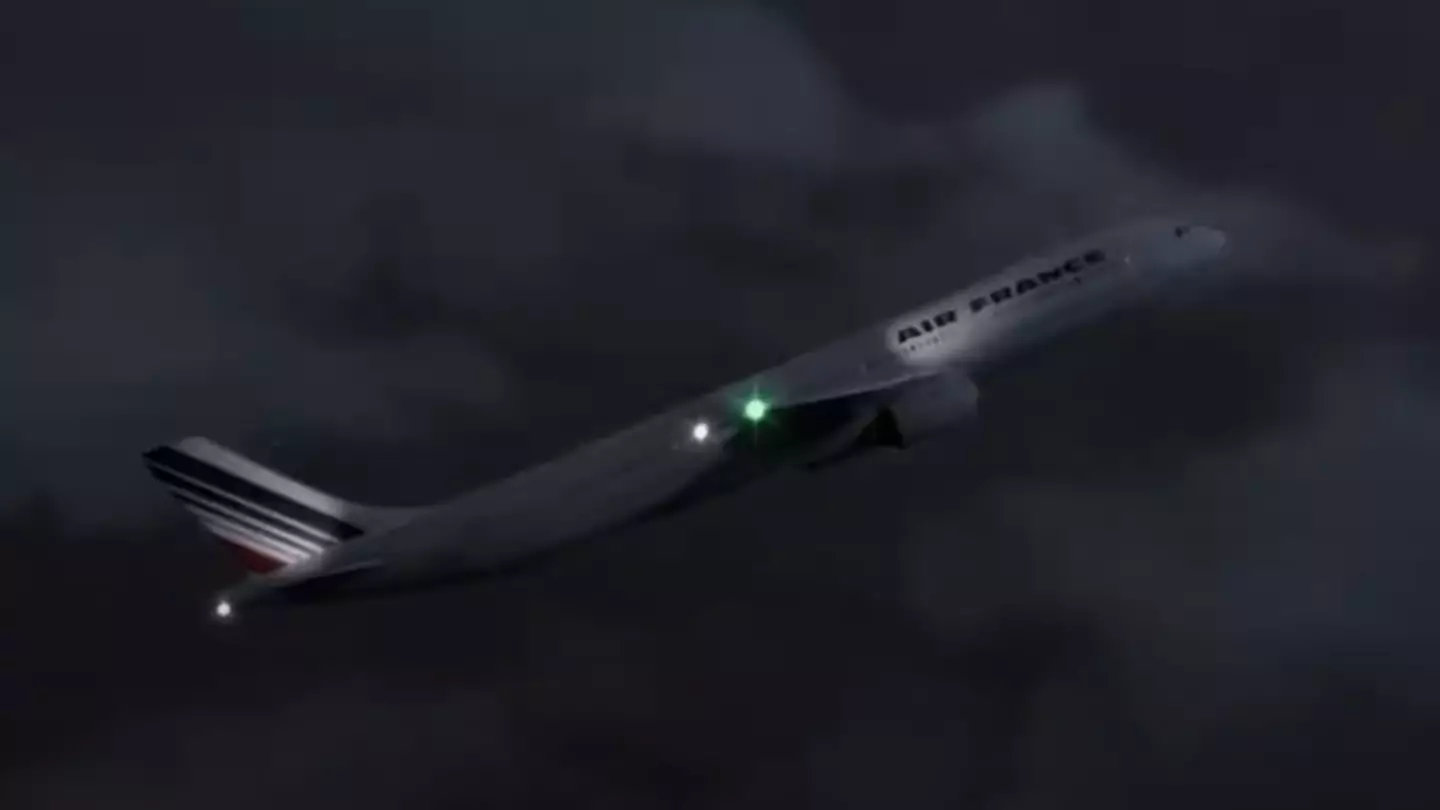 Simulation shows shocking reality of Air France flight 447 crash that killed 228 people after plane 'had a stroke'