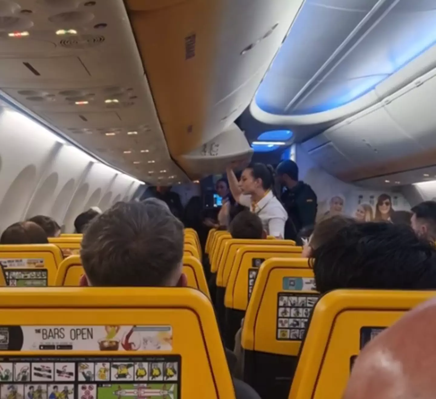 The grounded Ryanair plane (TikTok/@swannimalp)