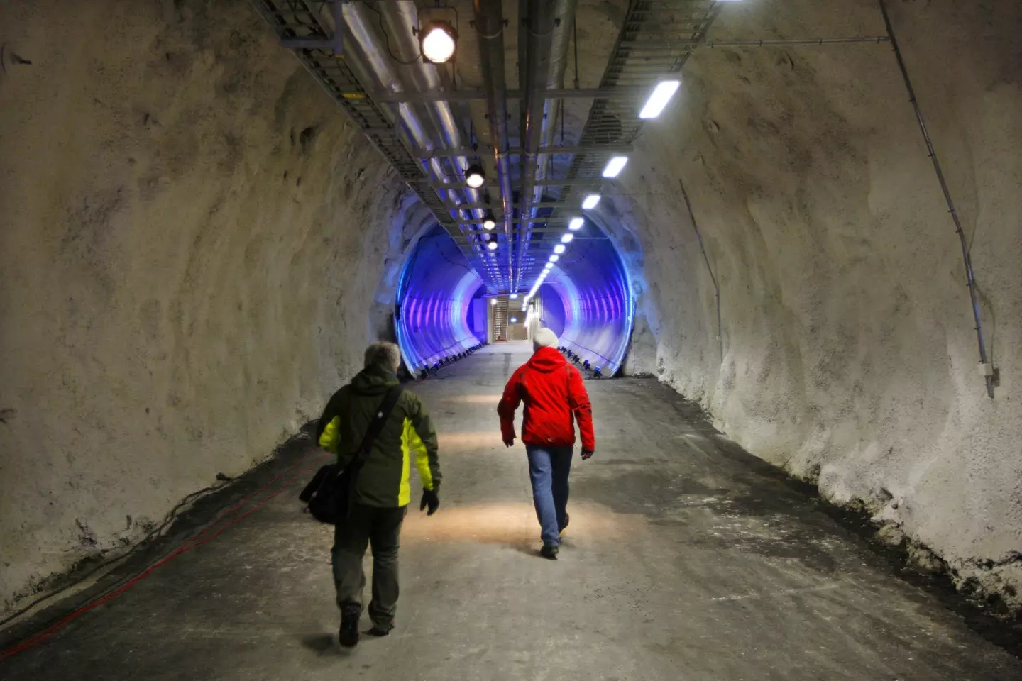 Norway's Global Seed Vault could be key in a crisis.