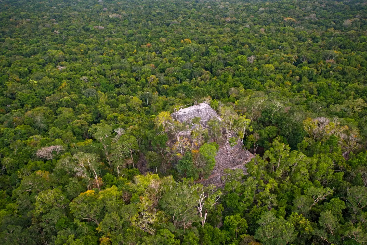 Hundreds of ancient settlements built in around 1,000 BC had been hidden by the El Mirador jungle in Guatemala.