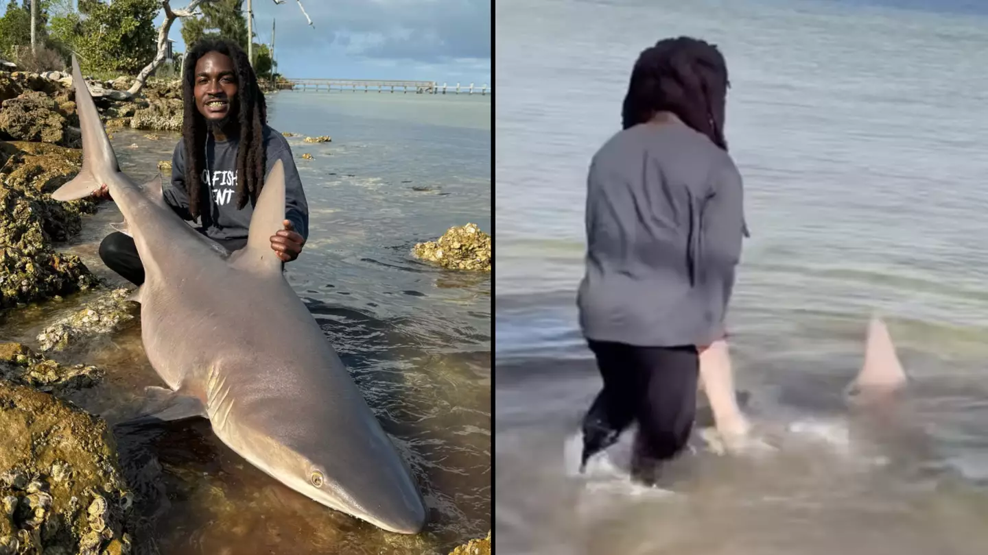 Man goes viral for casually picking up live shark with his bare hands