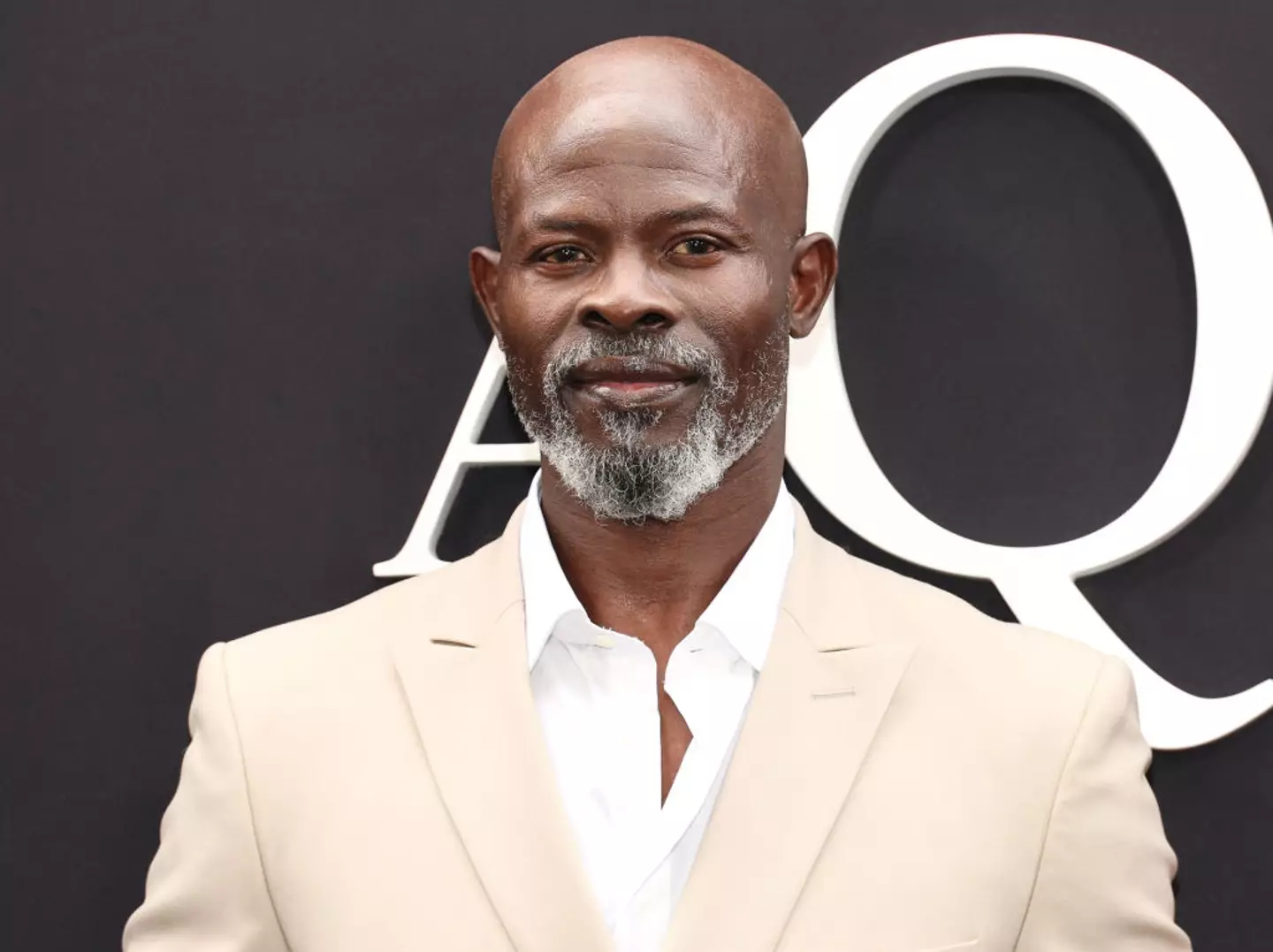 Djimon Hounsou made the admission about Hollywood pay inequality in a recent interview (Dia Dipasupil/WireImage)
