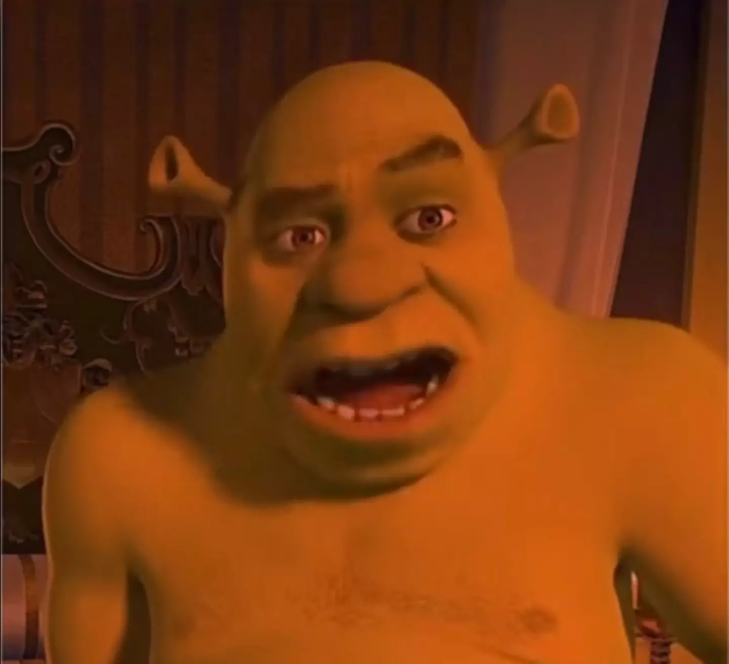 Shrek fans have a new appreciation for the films as adults.