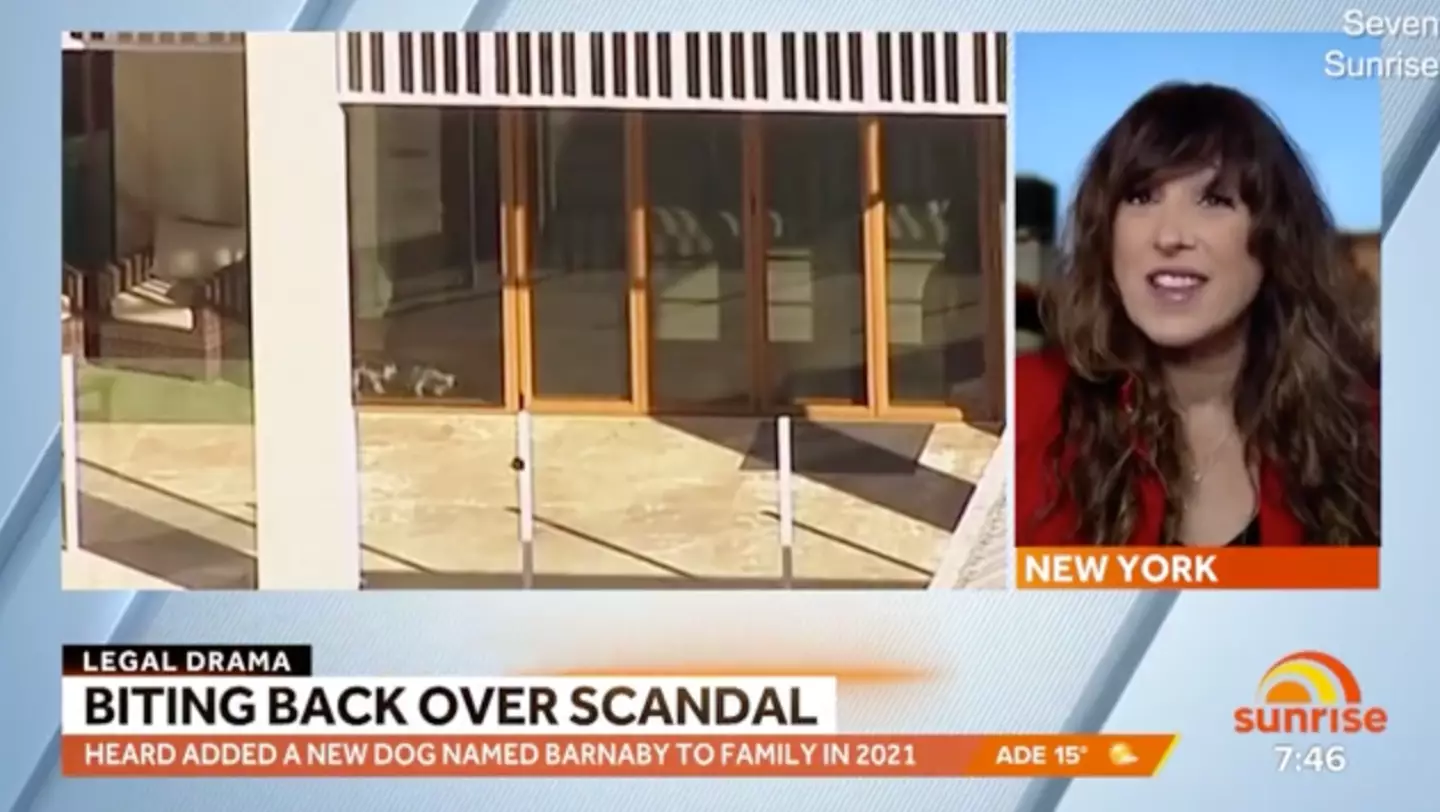 Cooper Lawrence has suggested that one of Amber Heard's dogs is 'missing'.