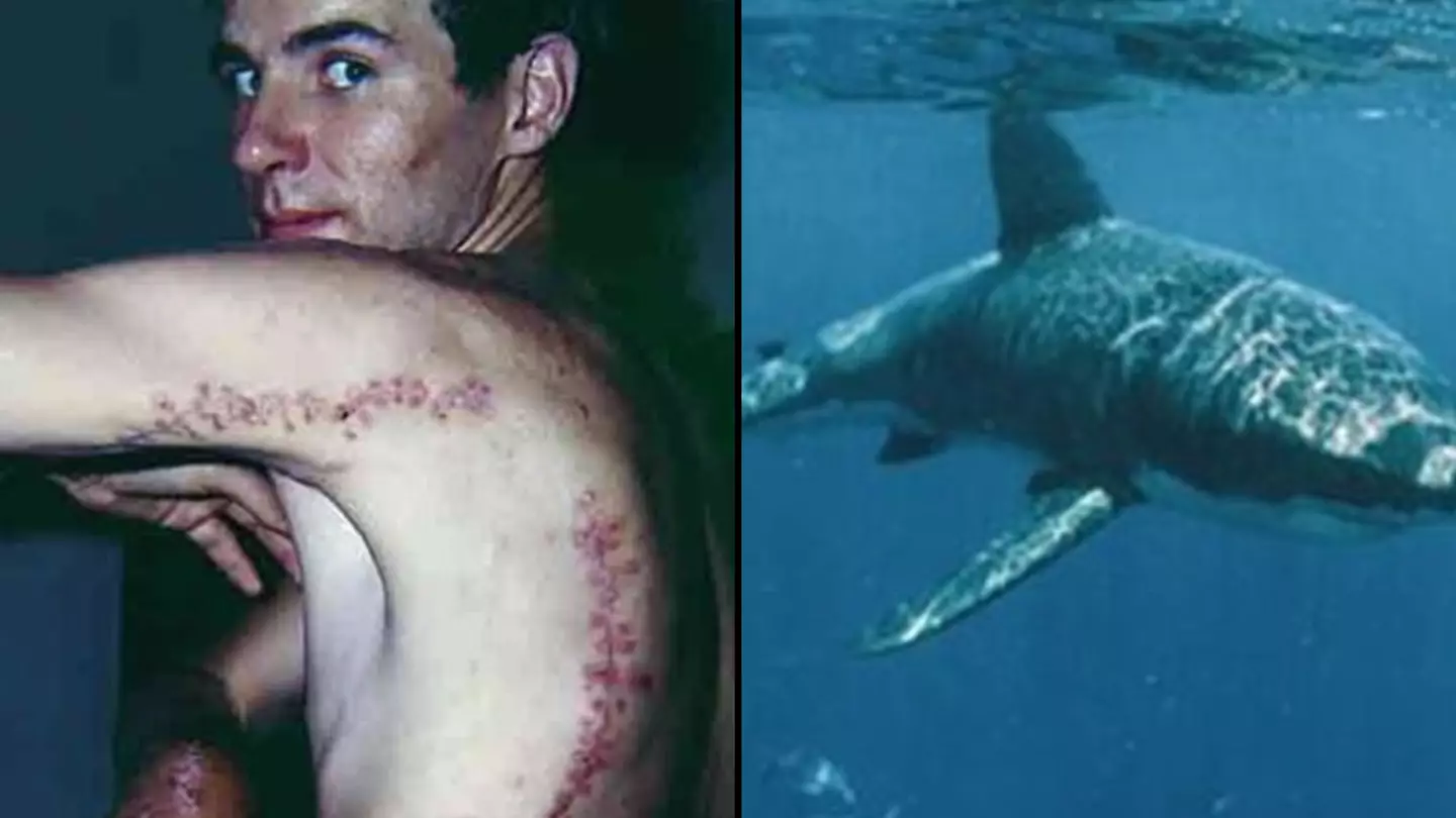 Man dragged to bottom of sea by great white in 'worst shark attack ever'