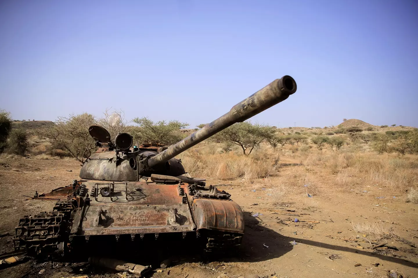 A destroyed tank is seen in a field in the aftermath of fighting between the Ethiopian National Defence Force (ENDF) and the Tigray People's Liberation Front (TPLF) forces.