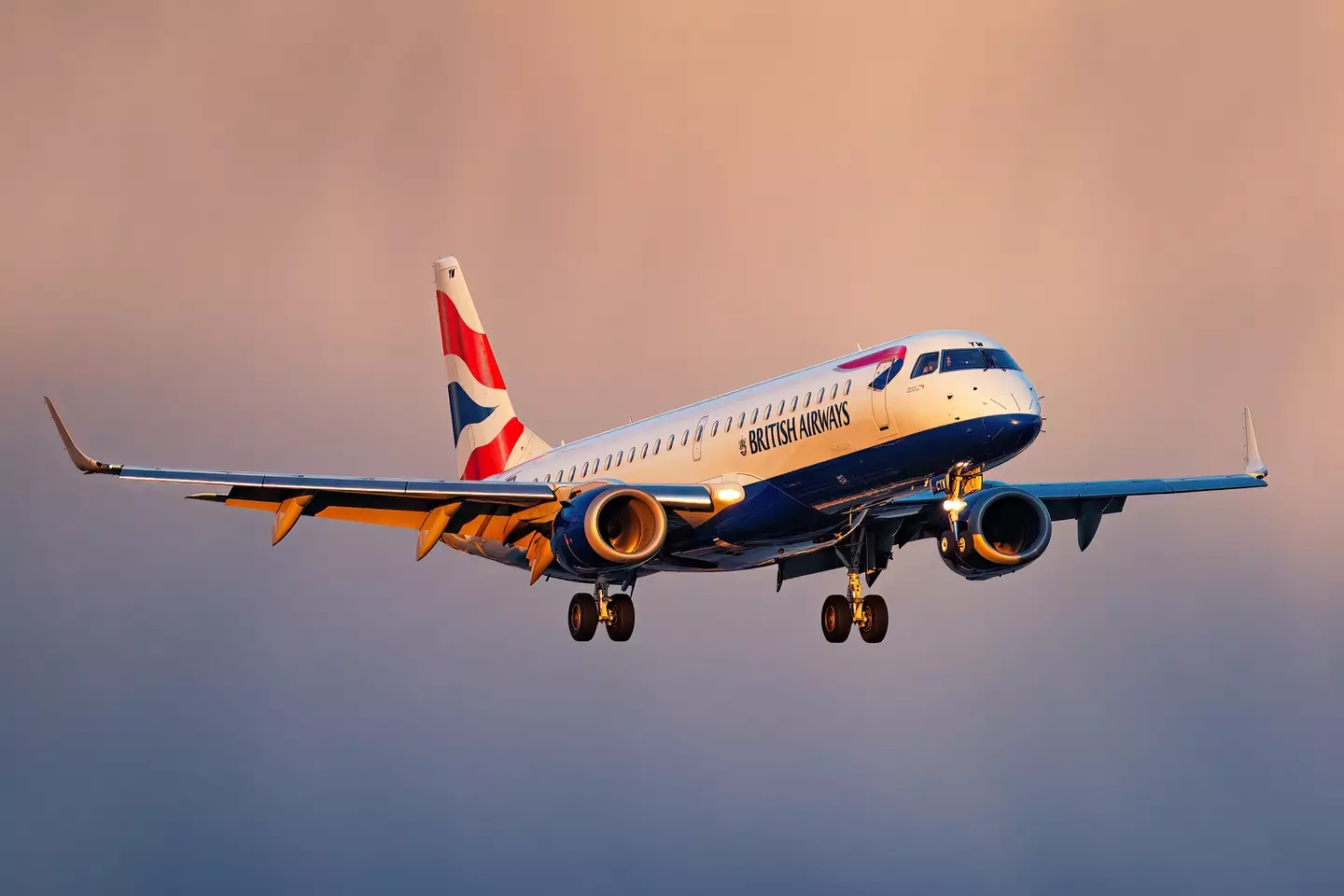 Clifford won a disability discrimination and unfair dismissal case against British Airways (Getty Stock Images)