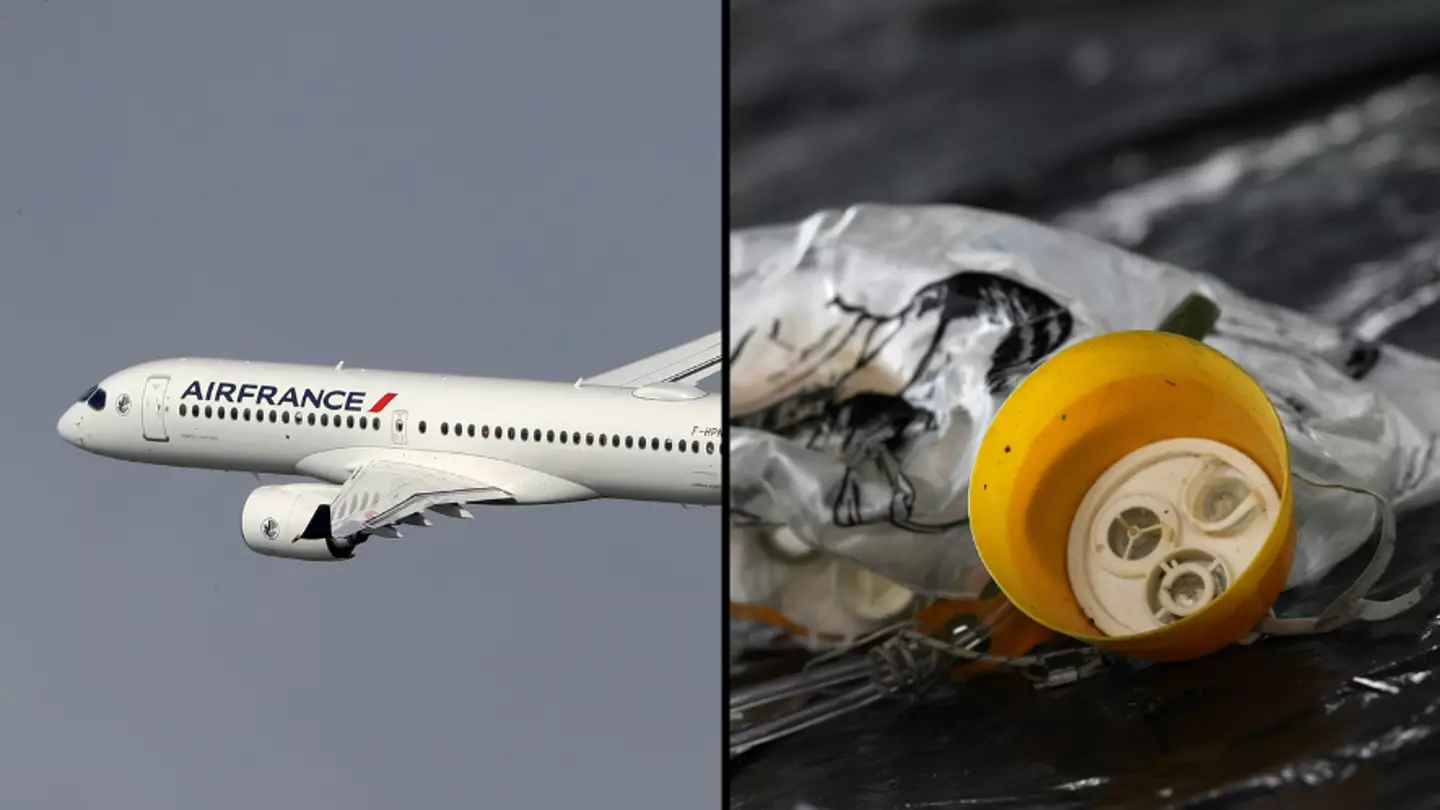 Chilling final words of pilot before Air France plane crashed into Atlantic killing 228 