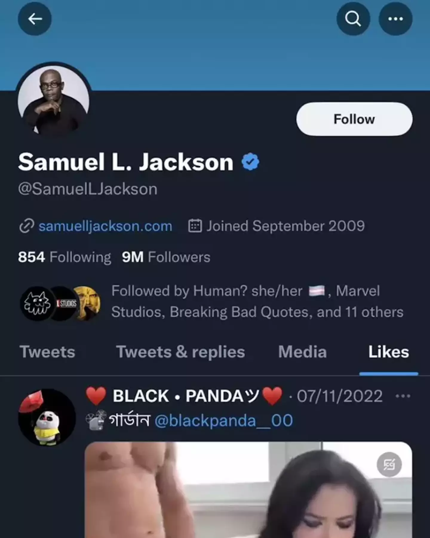Samuel L. Jackson's account was recently caught liking x-rated content.