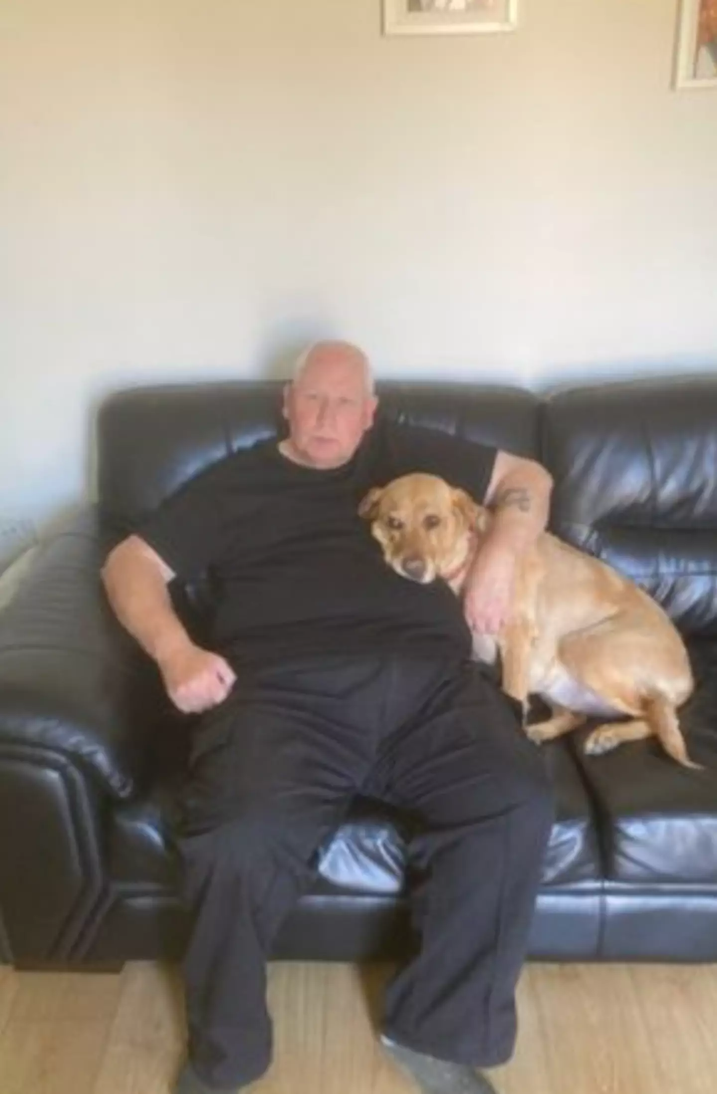 Paul and his wife Jane have had Mazie since she was just a pup.