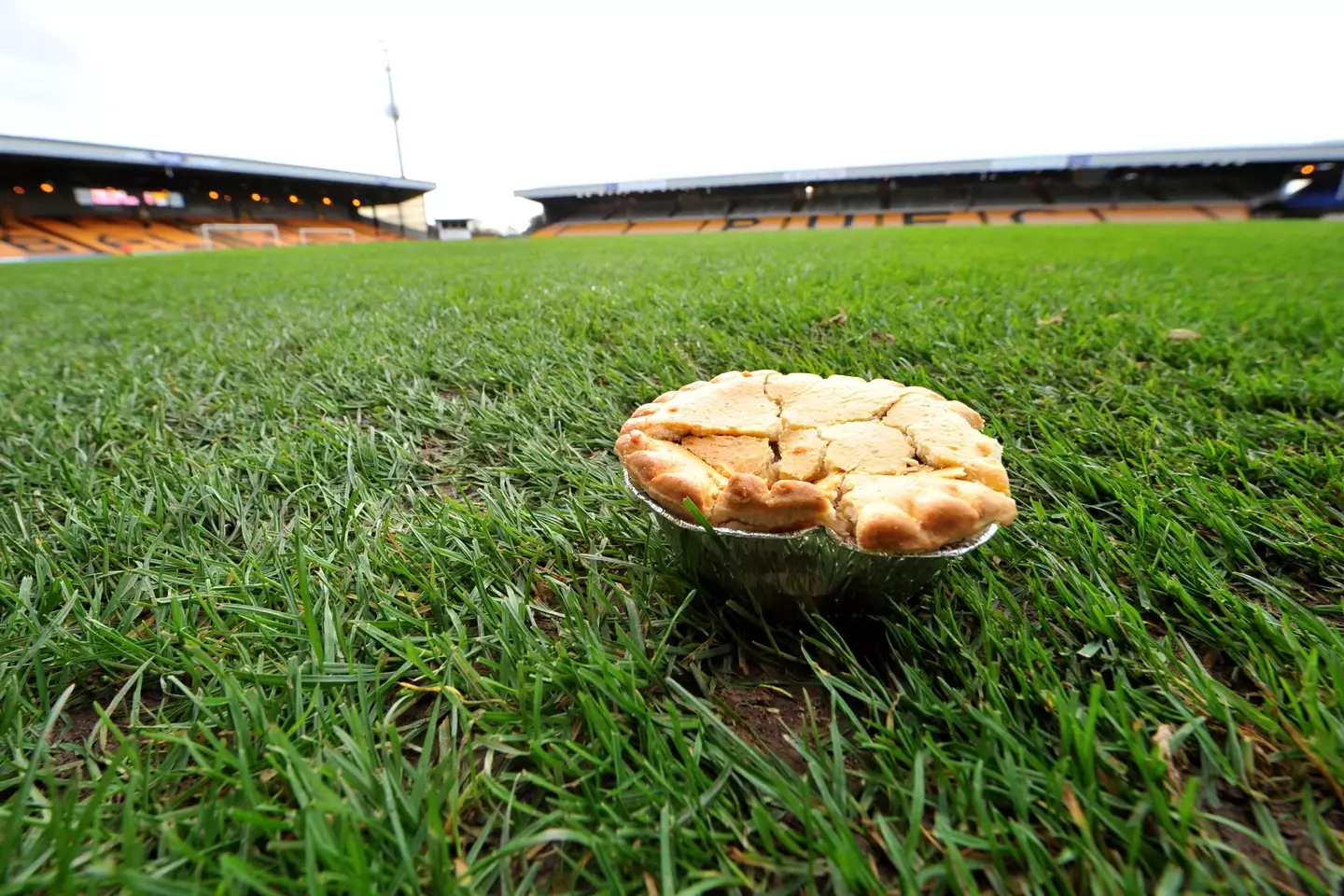 He admitted to throwing the pie at rival fans.