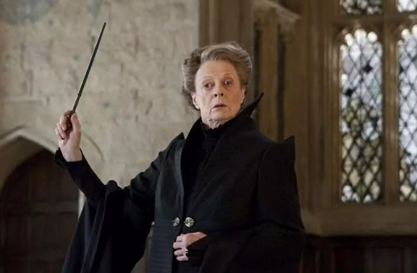 Maggie Smith played Professor Minerva McGonagall in the Harry Potter films.