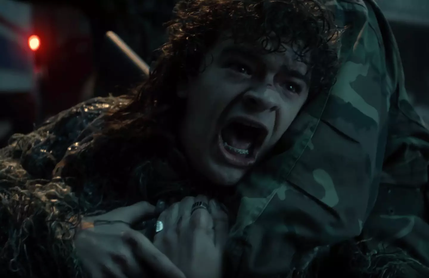 Fans are also theorising that Steve is a goner, but they've done that since season two (Netflix)