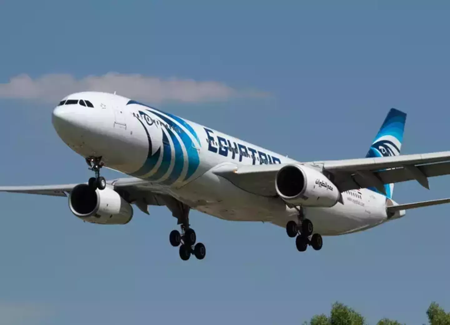 Nobody on board the Egyptair flight was harmed, with all hostages eventually let go.