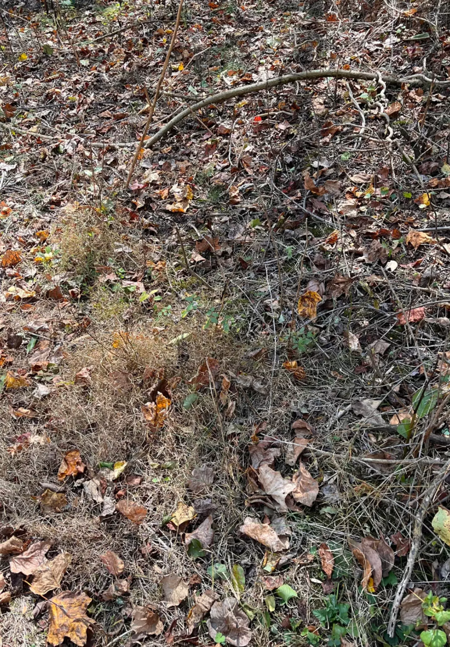 I hope you did better than me here. (Reddit/u/Prize-Technology-811)